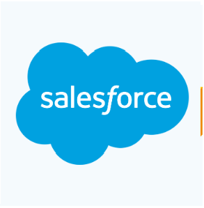 Salesforce Icon